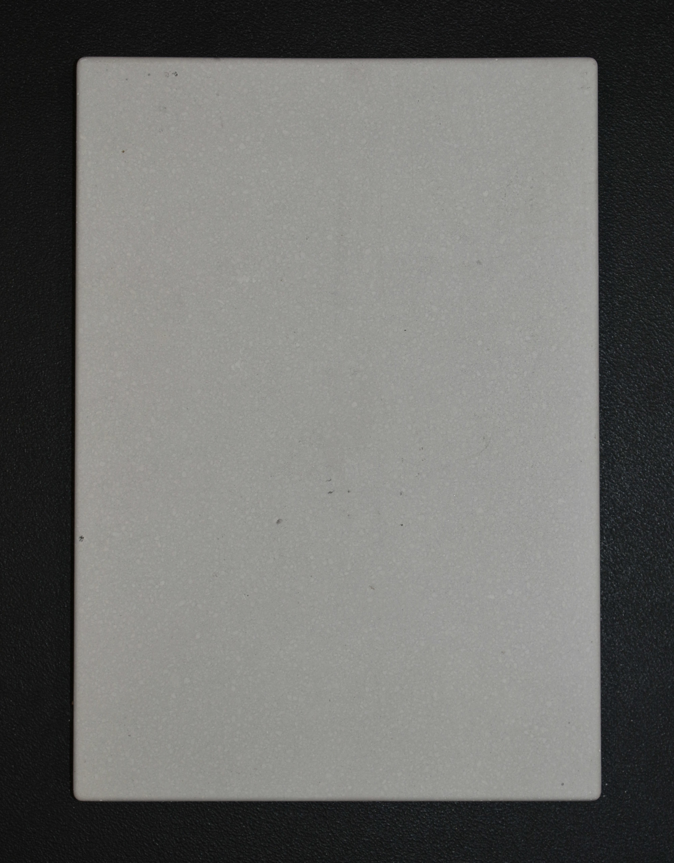 Austroflamm Dexter L 2.0 pierre de plaque arrire milieu